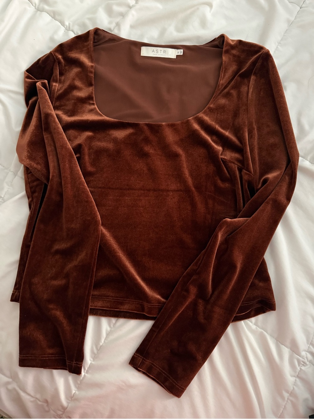 Astr Rust Velvet Scoop Neck Long Sleeve Top